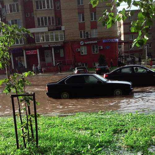 Photo #6770381