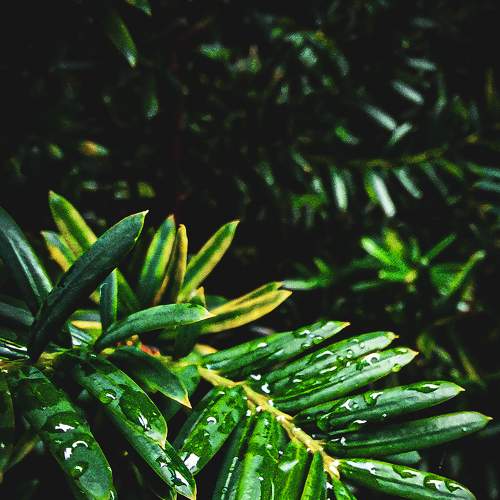 Photo #6770443