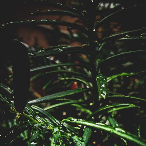Photo #6770454