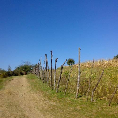 Photo #6770837