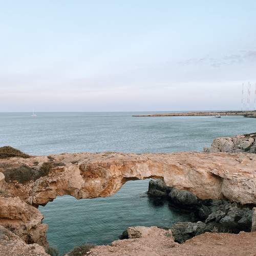 Photo #6771862