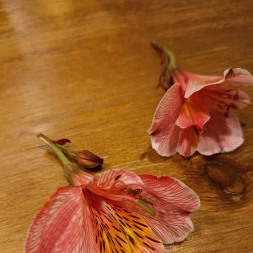 Photo #6772297