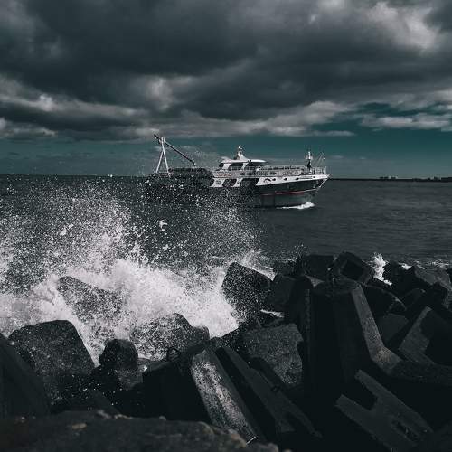 Photo #6772497
