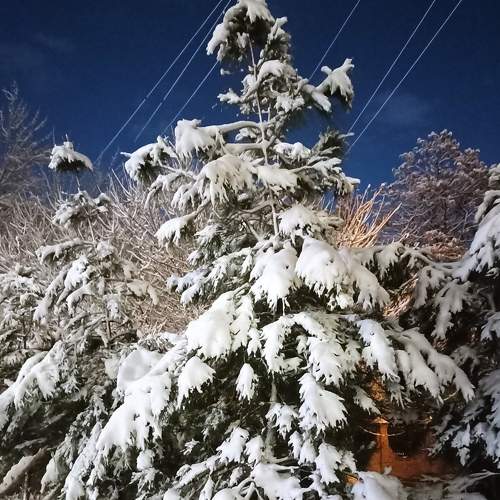 Photo #6772499