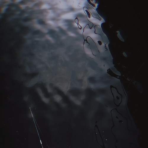 Photo #6772508