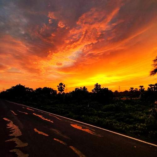 Photo #6772617