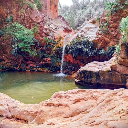 Photo #6772701