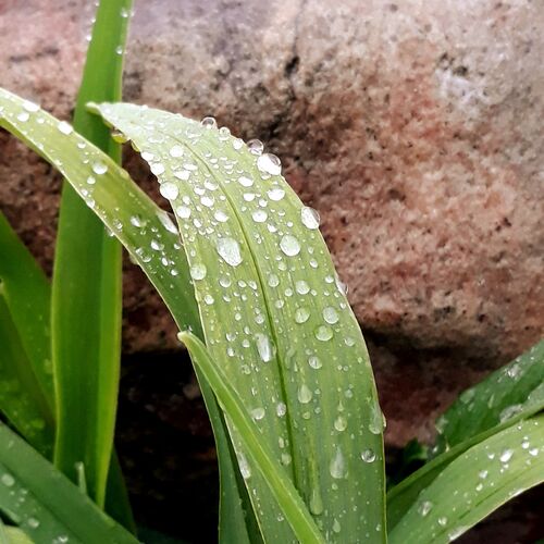 Photo #6772725
