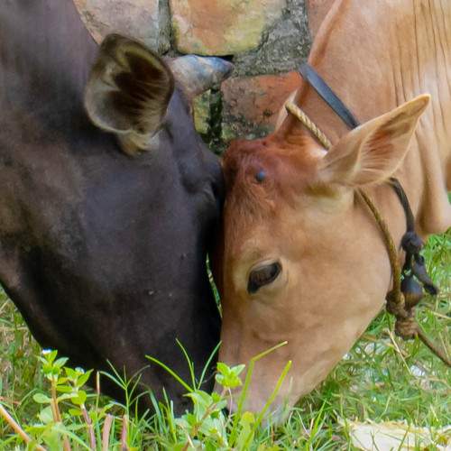 Photo #6772758