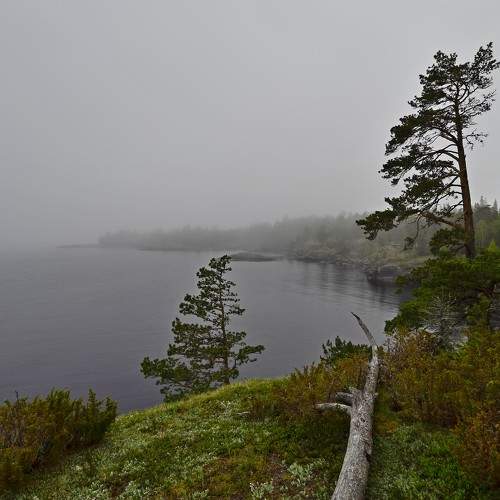 Photo #6772761