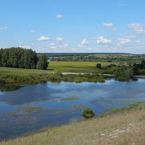 Летний день