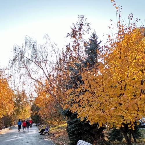 Photo #6772956
