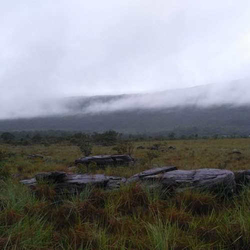Photo #6773029