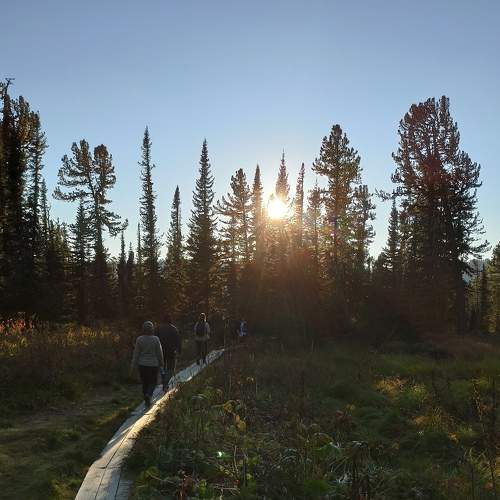 Photo #6773122