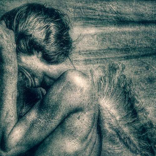 Photo #6773167