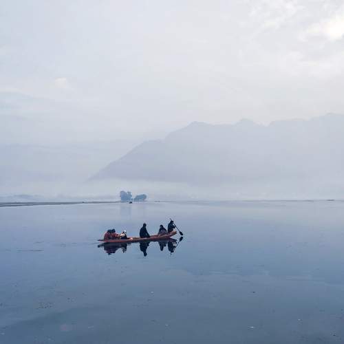 Photo #6773301