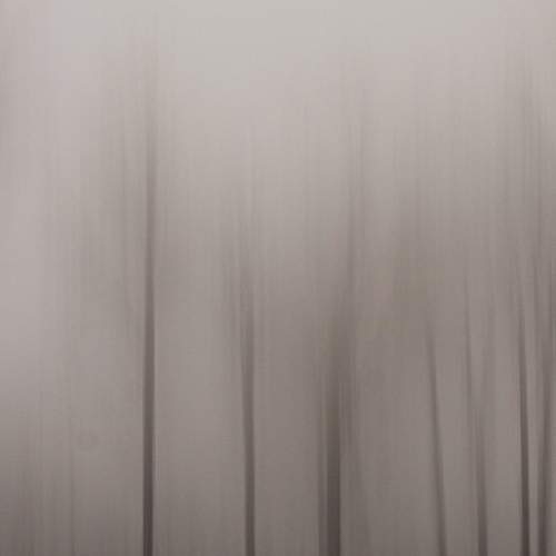 Photo #6773462