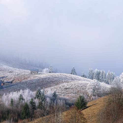 Photo #6773463