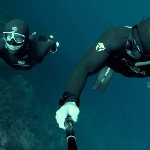 Photo #6773506