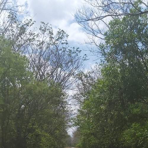 Photo #6773686