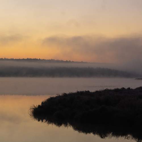 Photo #6773693