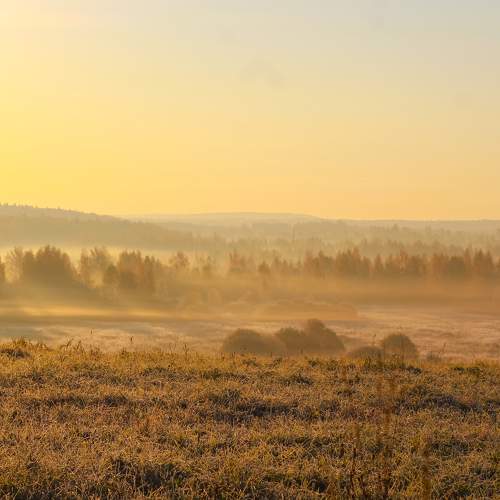 Photo #6773694