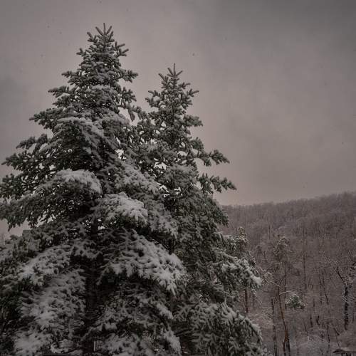 Photo #6773714