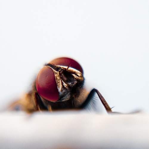 Photo #6773891