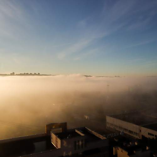 Photo #6773981