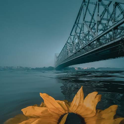 Photo #6774030
