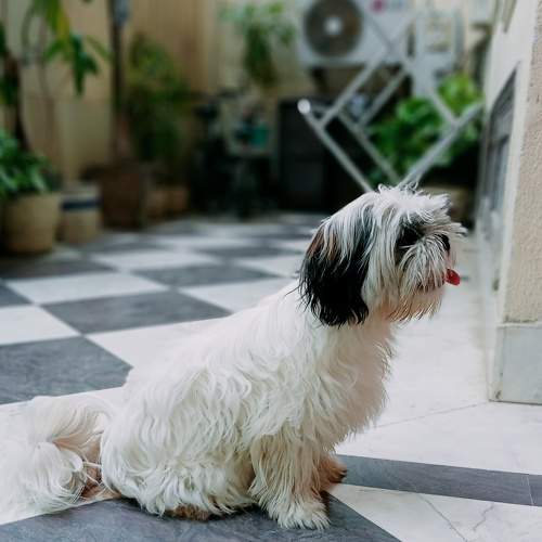 Photo #6774452