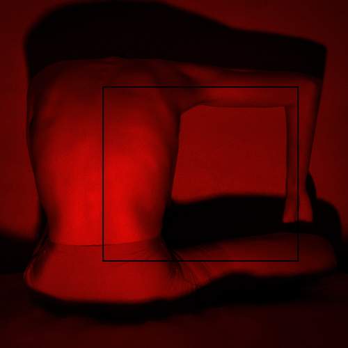 Photo #6775139