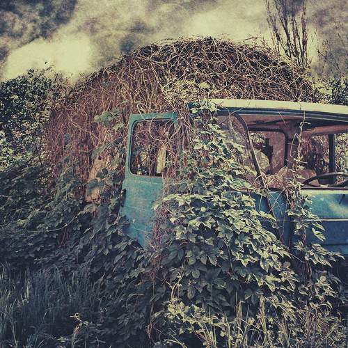 Photo #6775353