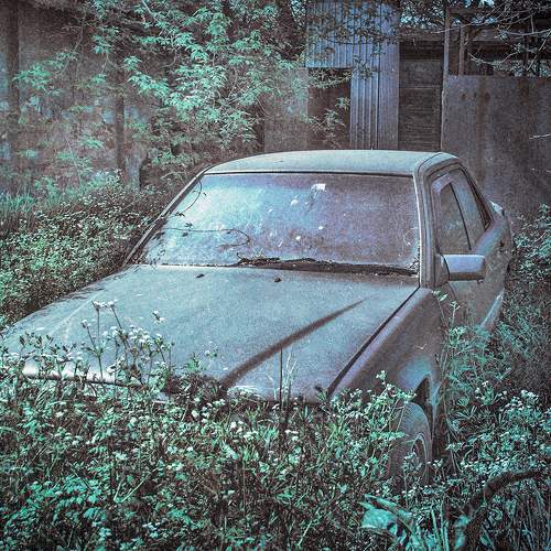 Photo #6775354