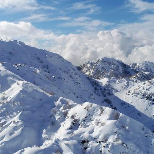 Photo #6775521