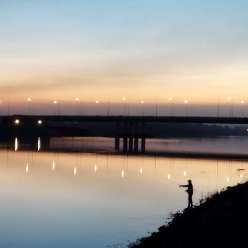 Photo #6775849