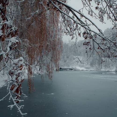 Photo #6776238