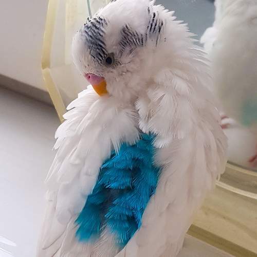 Photo #6776478