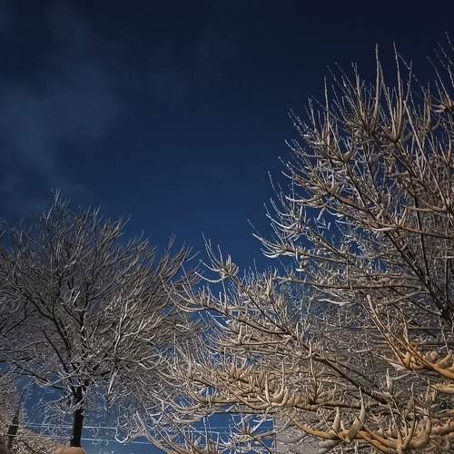 Photo #6776511