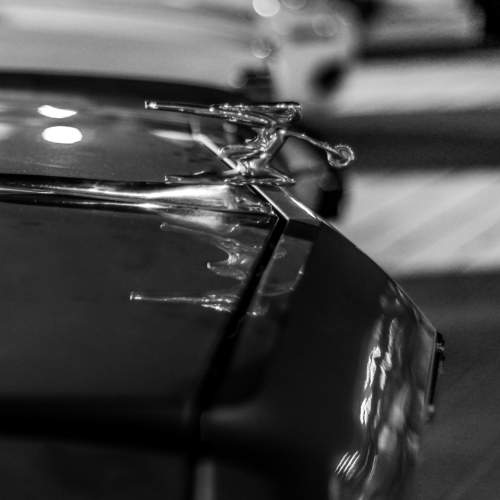 Photo #6776889