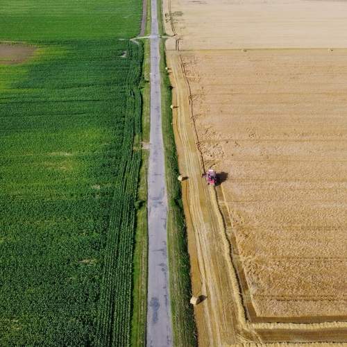 Photo #6777584