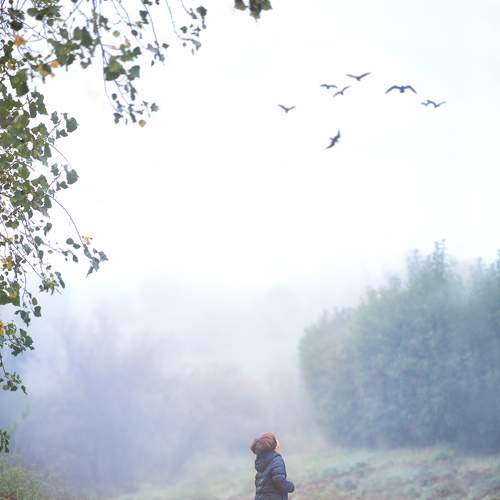 Photo #6777849