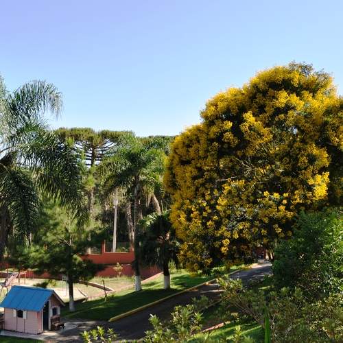 Photo #6777938