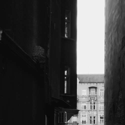 Photo #6777989