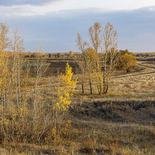 Photo #6778464