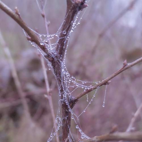 Photo #6778614