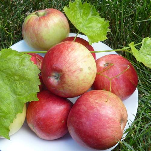 Photo #6778688