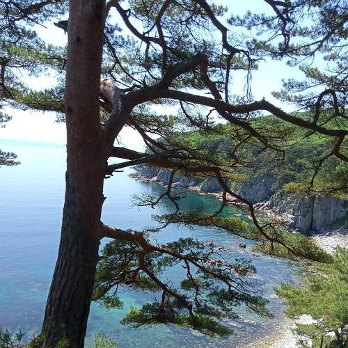 Photo #6778707