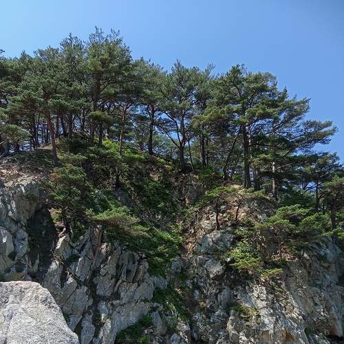 Photo #6778709