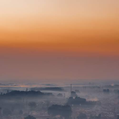 Photo #6778829